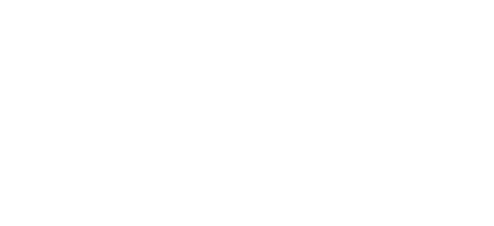 Engineer Wings White